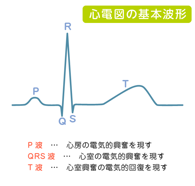 心電図の基本波形