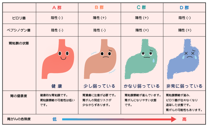 A群 健康的な胃粘膜。 B郡 胃潰瘍に注意。　C郡 胃がんになりやすい状態。 D郡 胃がんの可能性あり。